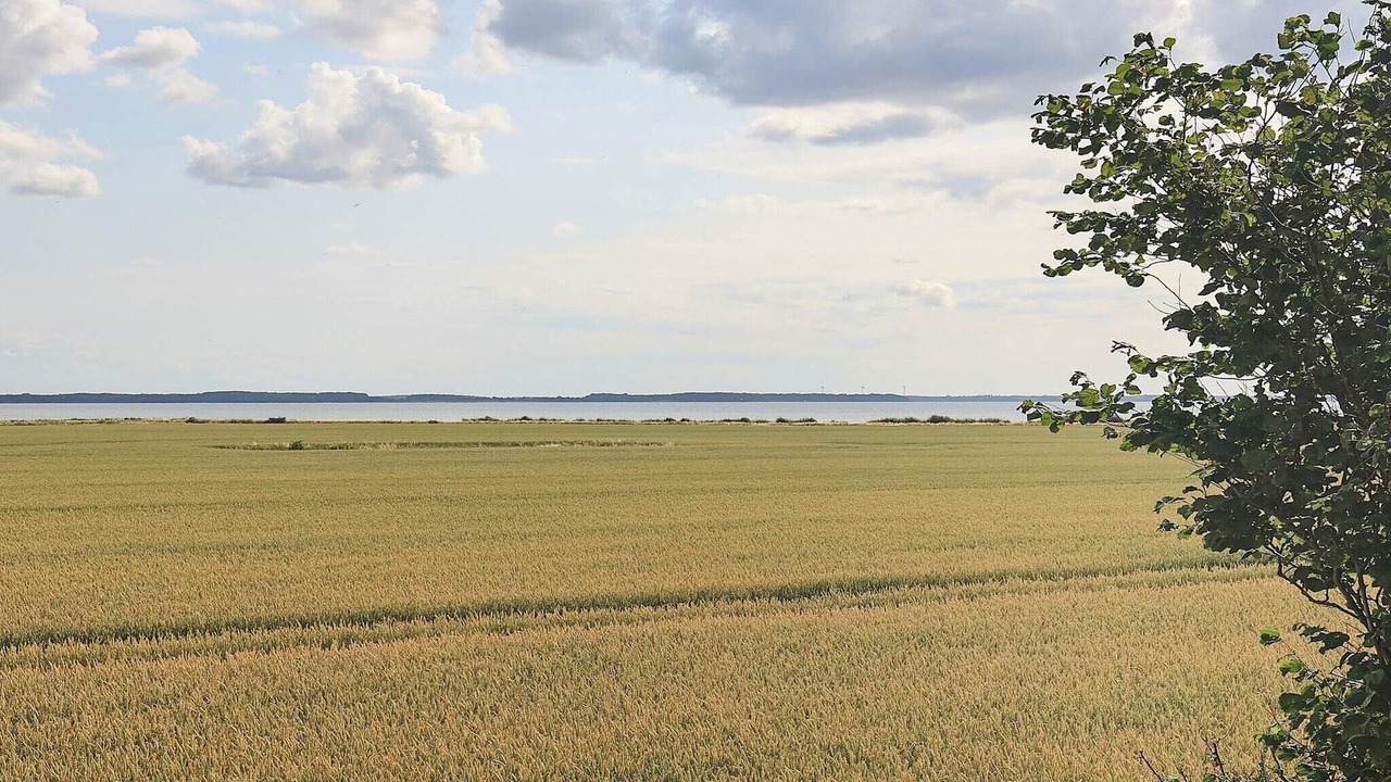 Photo of Others in Guldborg