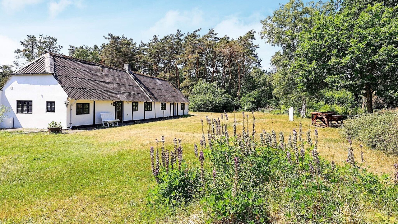 Photo of Others in Læsø