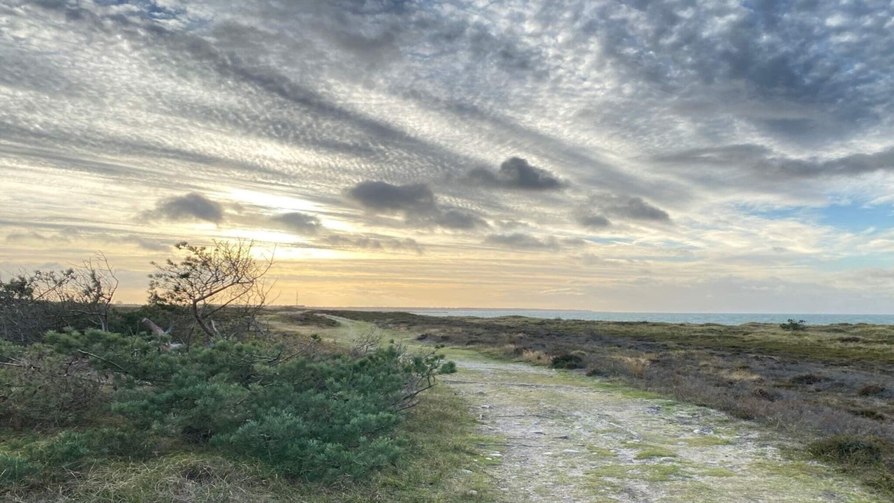 Photo of Others in Læsø
