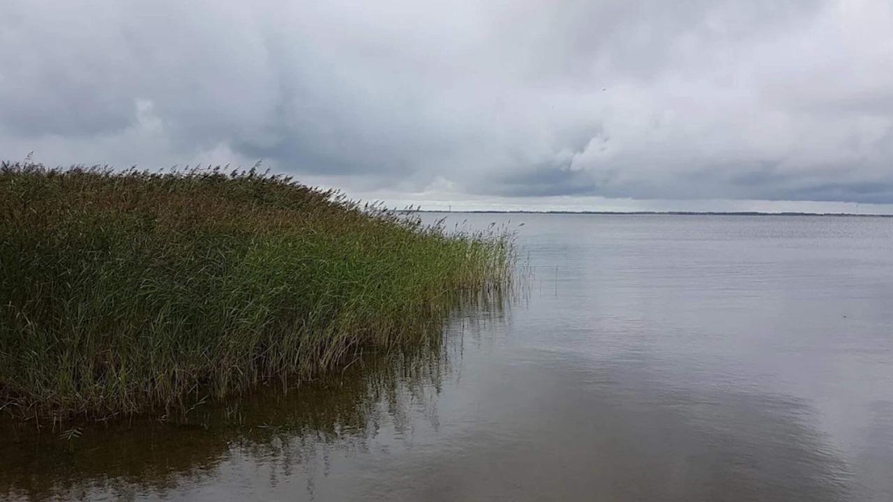 Photo of Others in Sønder Nissum