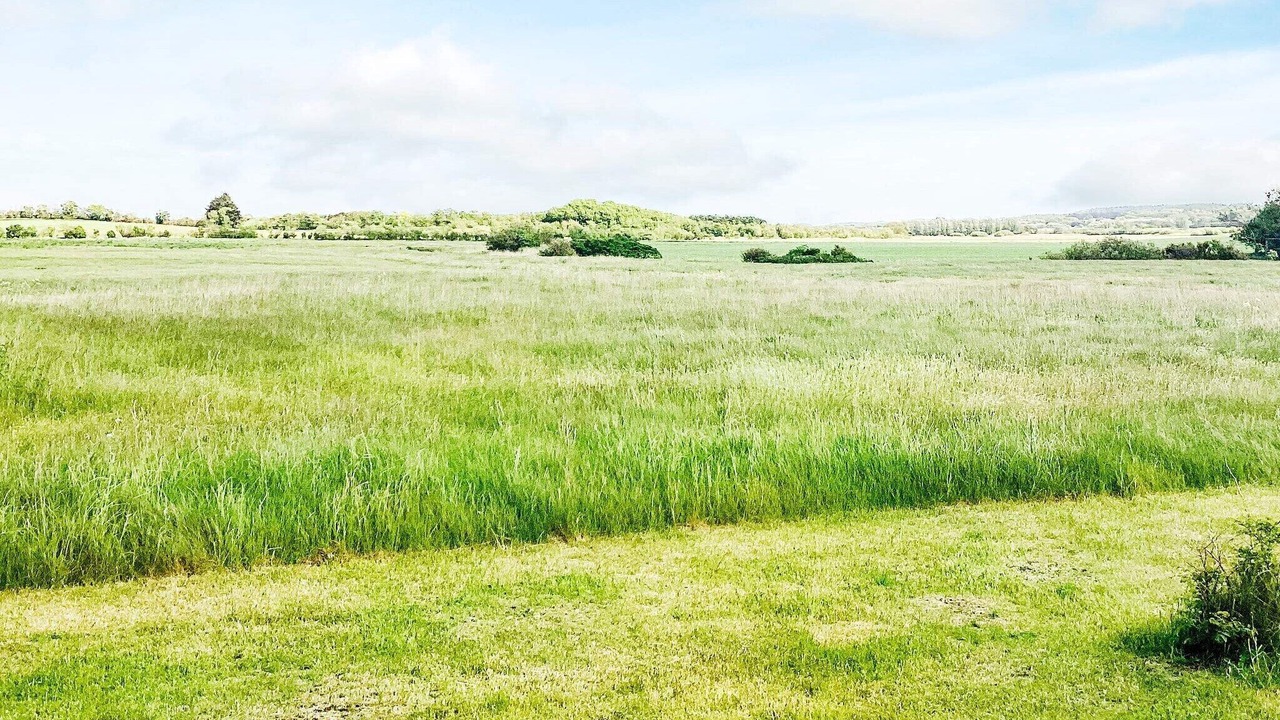 Photo of Outdoor in Trend
