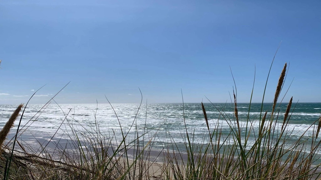 Photo of Others in Læsø
