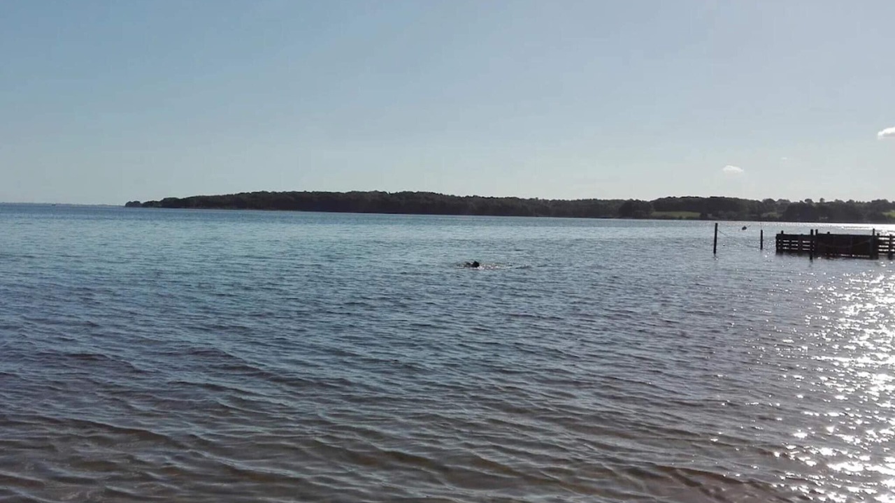 Photo of Others in Diernæs Strandby