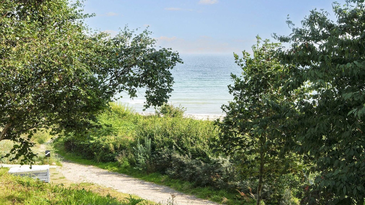 Photo of Others in Saksild Strand