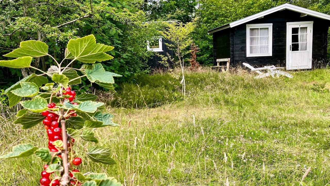 Photo of Outdoor in Amtoft
