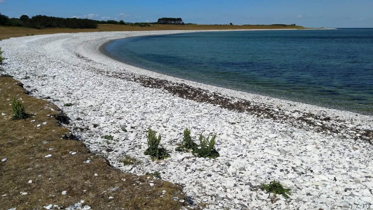 Photo of Others in Grenaa
