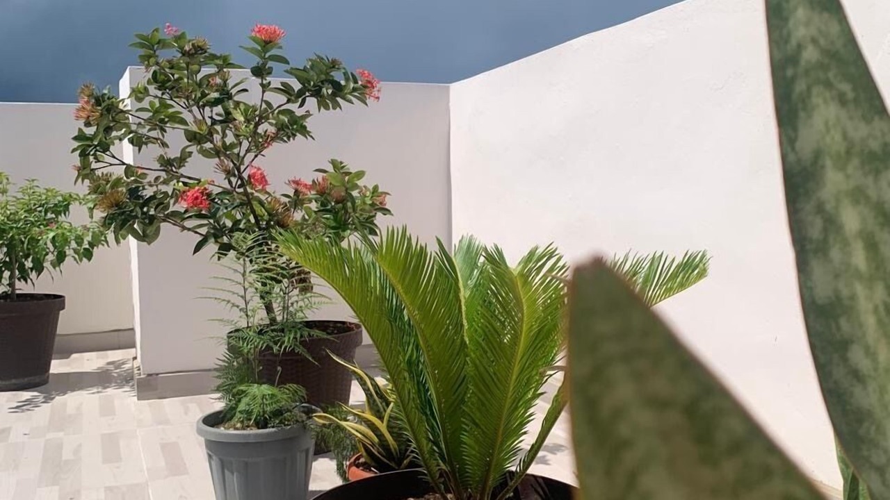 Photo of Outdoor in Monte Plata