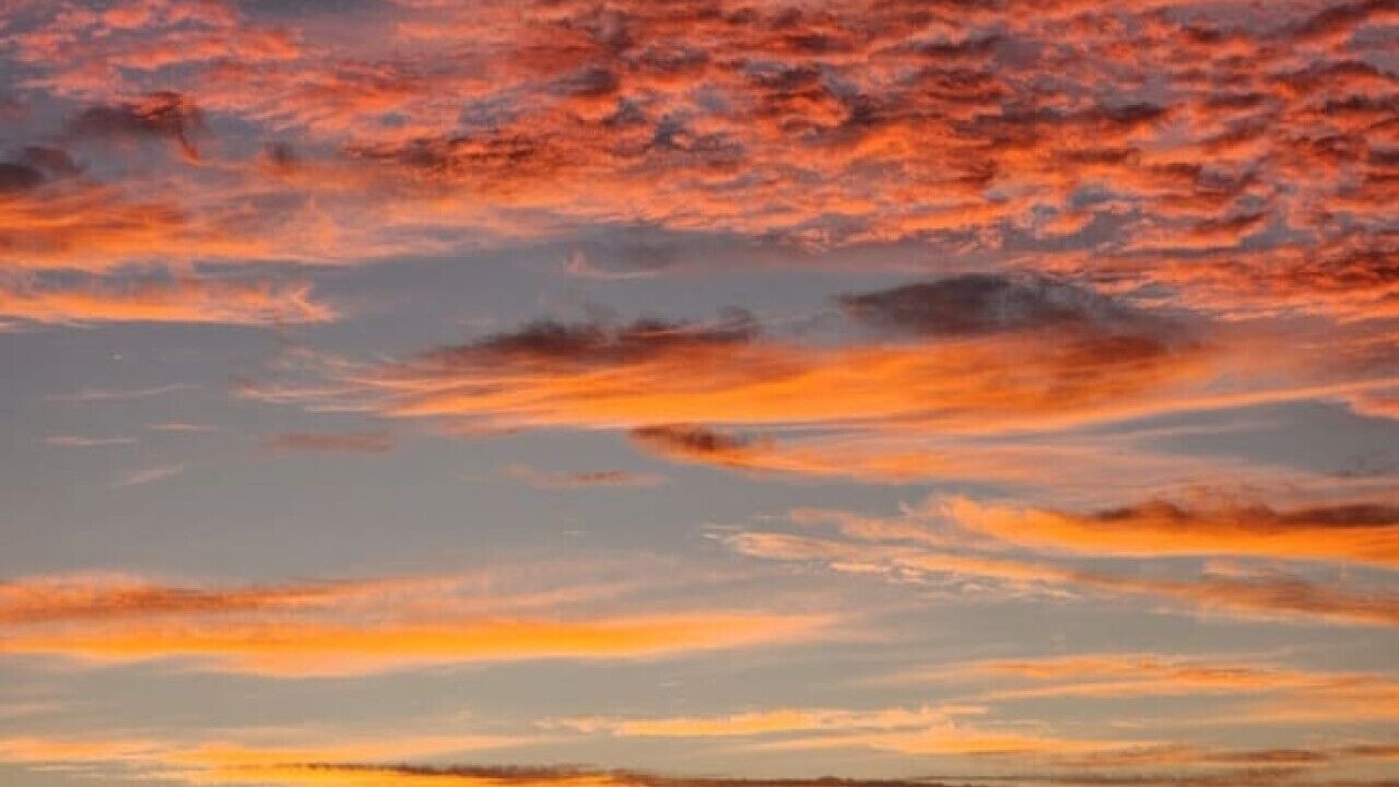 Photo of Others in Ocean Grove