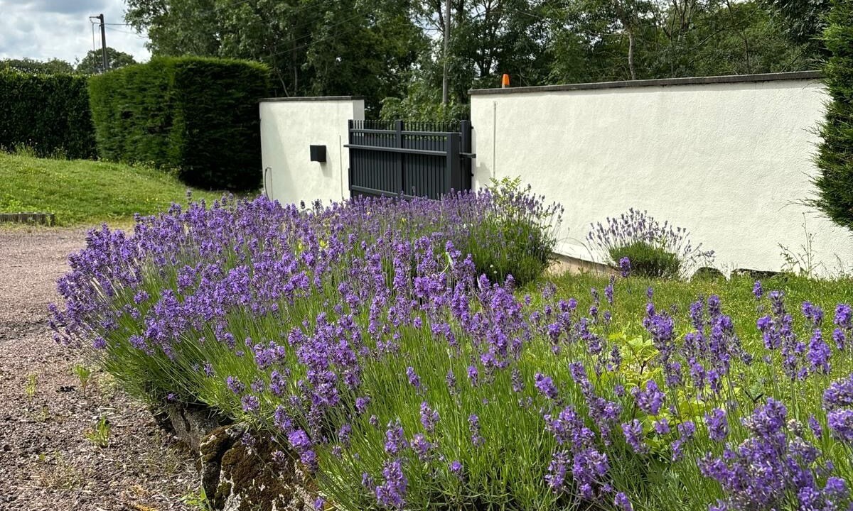Photo of Outdoor in La Roche-en-Brenil