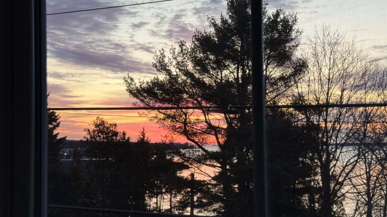 Photo of Others in Southwest Harbor