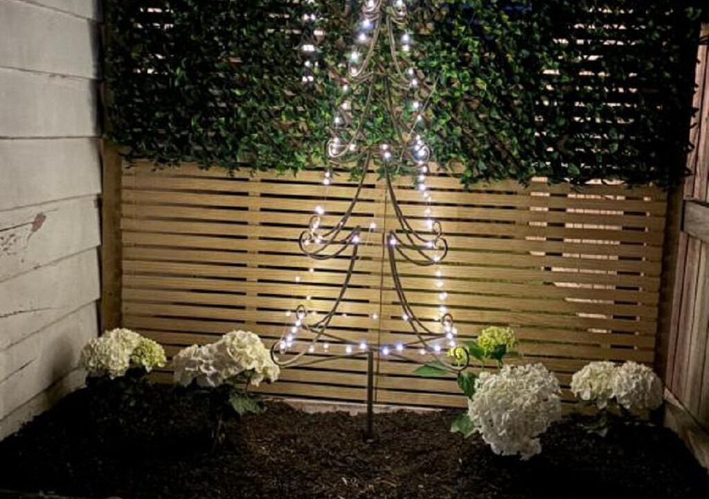 Photo of Outdoor in Rotoorangi