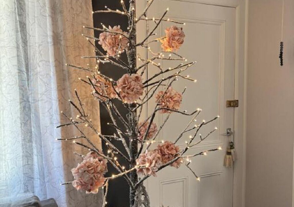 Photo of Others in Rotoorangi