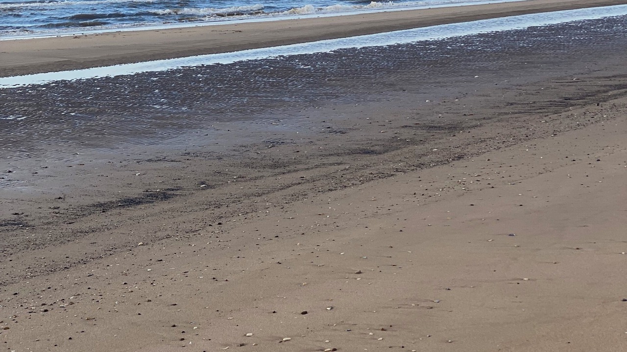 Photo of Others in Bridlington Old Town