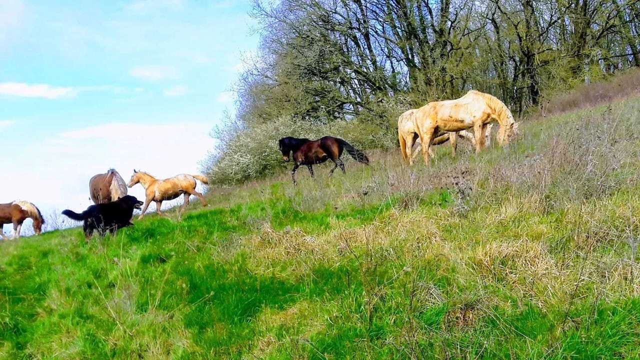 Photo of Outdoor in Anche