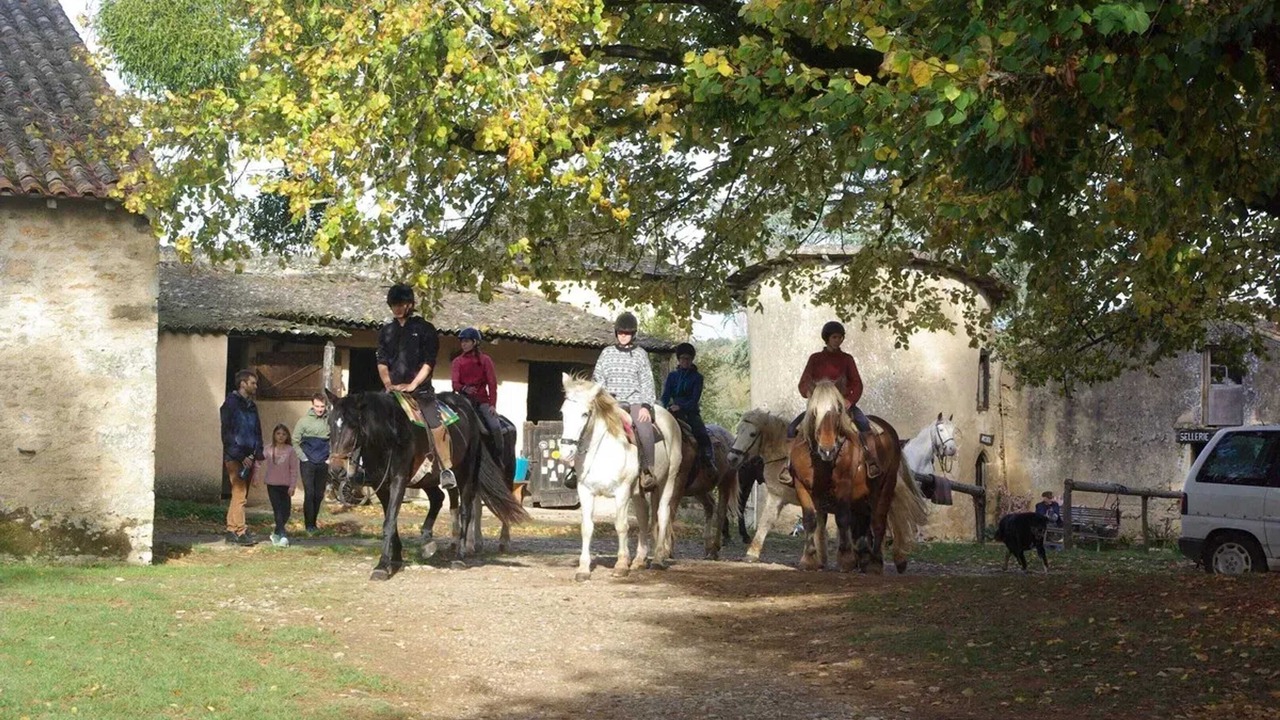 Photo of Others in Anche