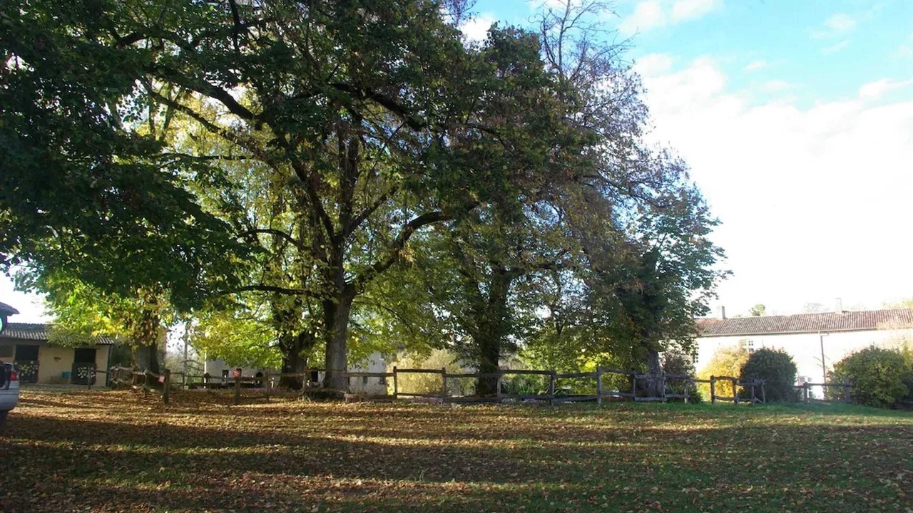 Photo of Outdoor in Anche