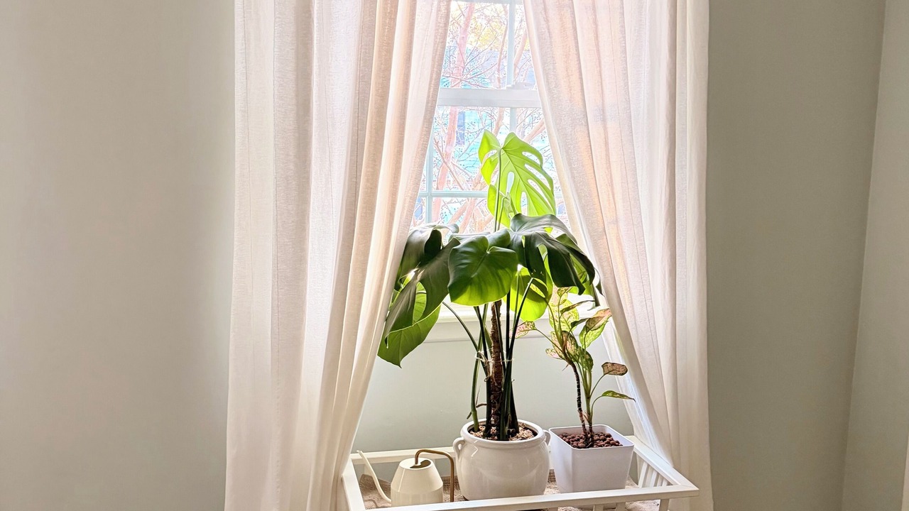 Photo of Others in Newark