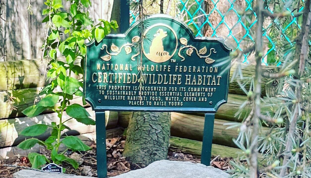 Photo of Others in Newark