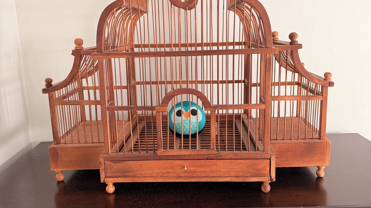 Photo of Others in Newark