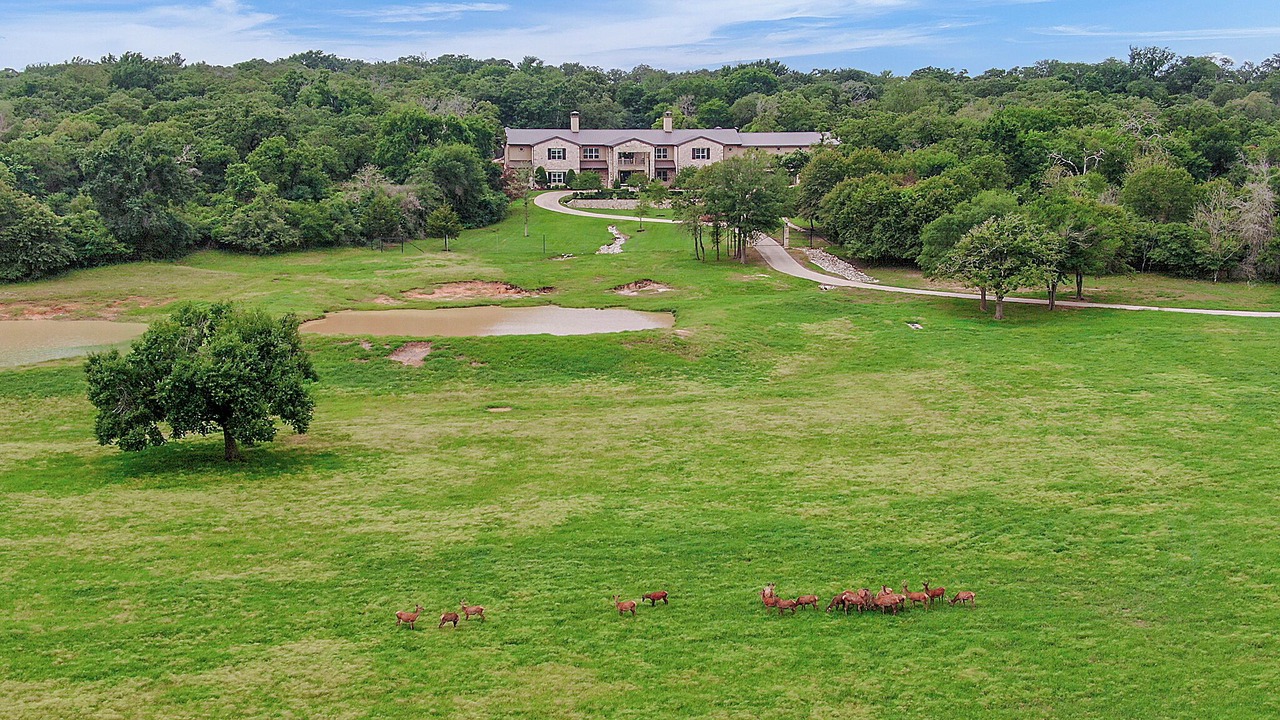 Photo of Outdoor in Brazos Valley