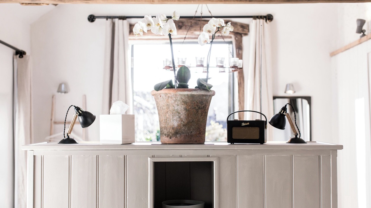 Photo of Others in Ashburton