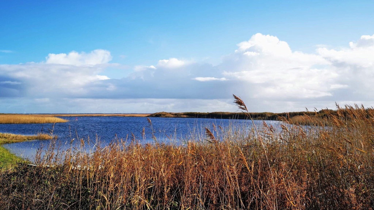 Photo of Others in Thorsminde