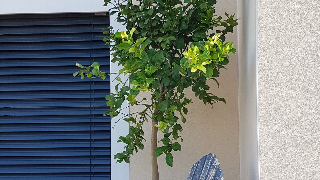 Photo of Patio Balcony in Gard Rhodanien