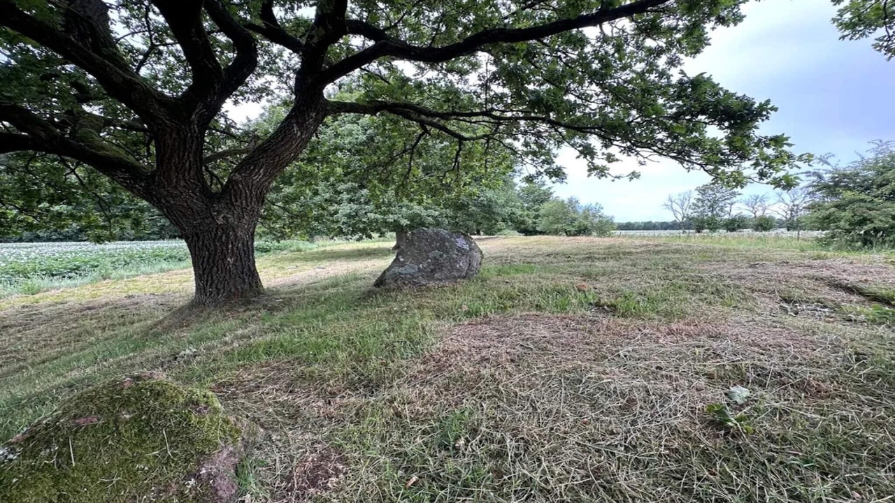 Photo of Others in Hovborg
