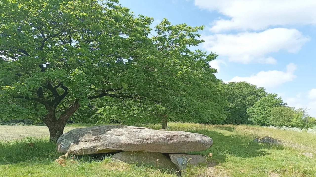 Photo of Others in Hovborg