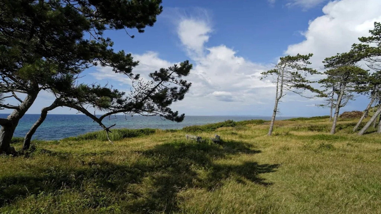 Photo of Others in Smidstrup Strand