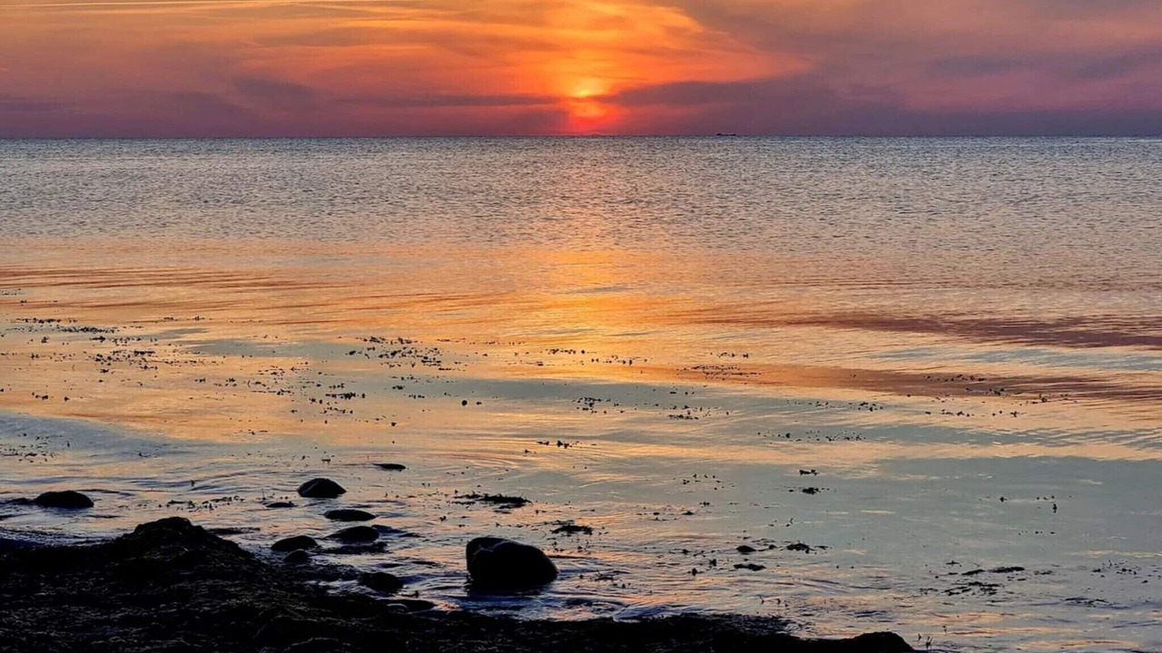 Photo of Others in Smidstrup Strand