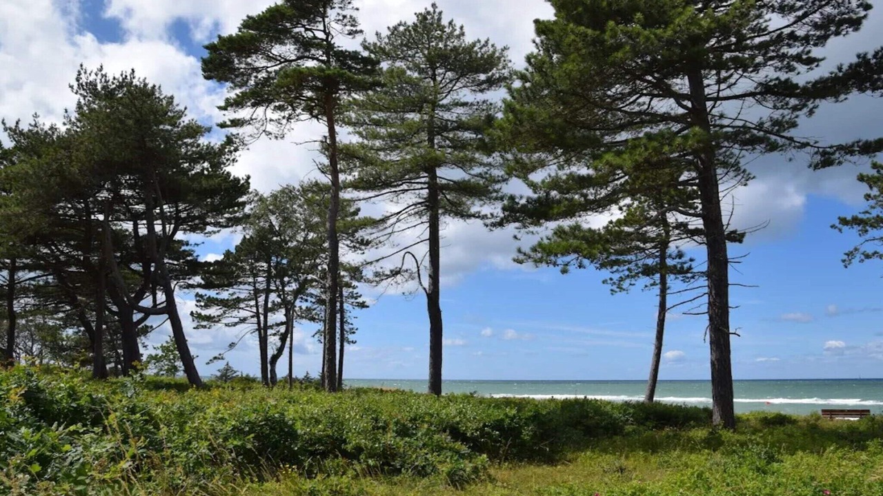 Photo of Others in Smidstrup Strand