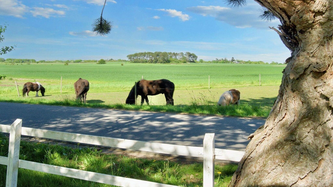 Photo of Outdoor in Smidstrup Strand
