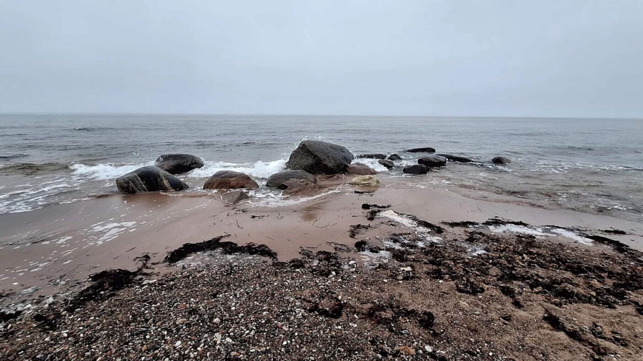 Photo of Others in Smidstrup Strand
