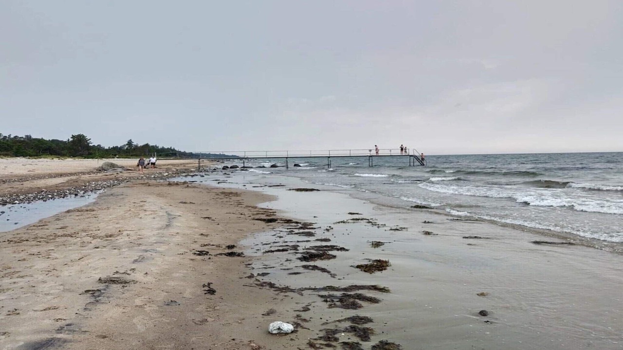 Photo of Others in Smidstrup Strand