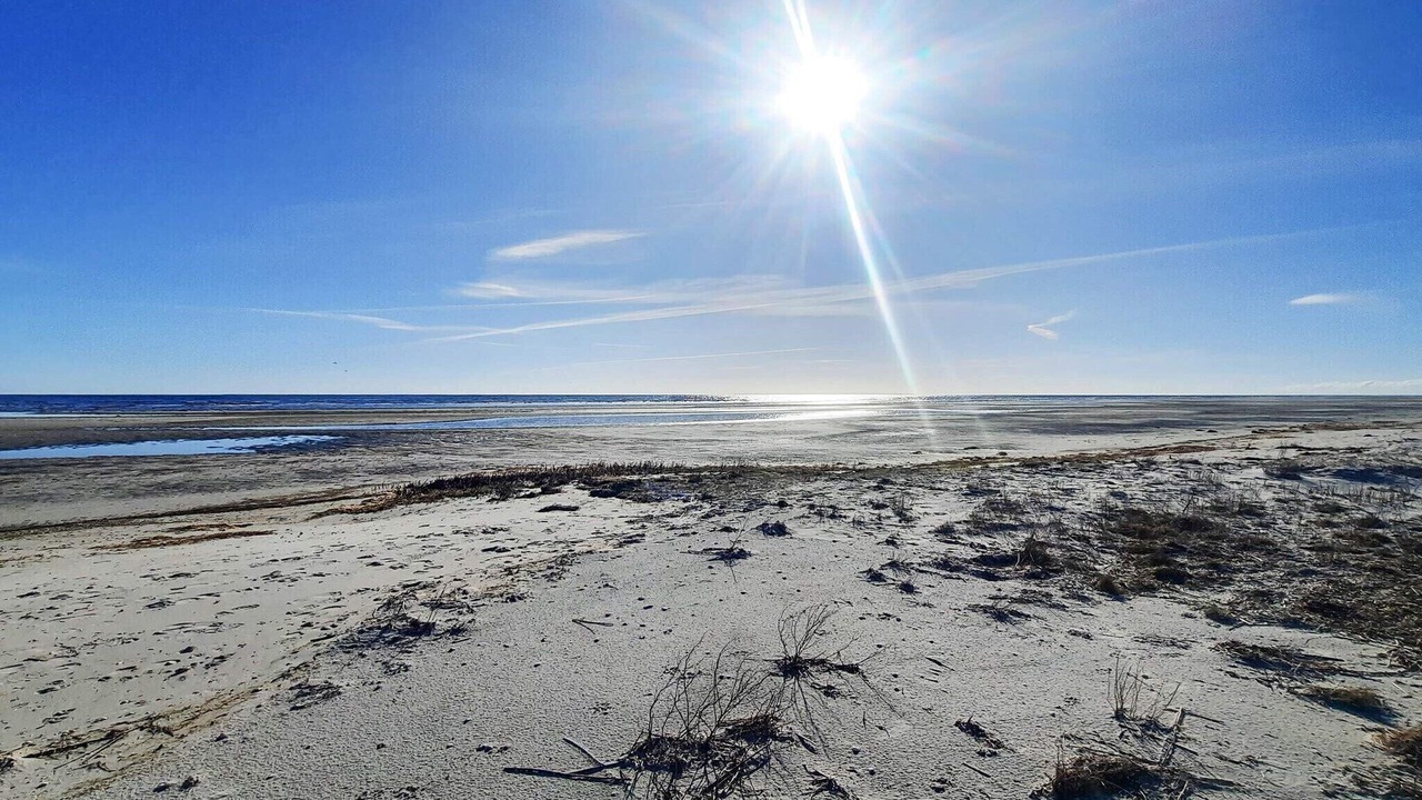 Photo of Others in Helberskov Strand