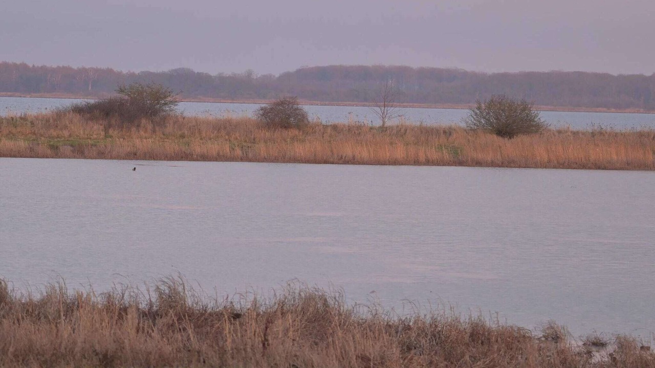 Photo of Others in Sakskobing