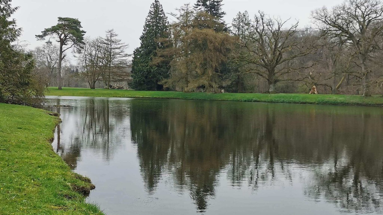 Photo of Others in Sakskobing