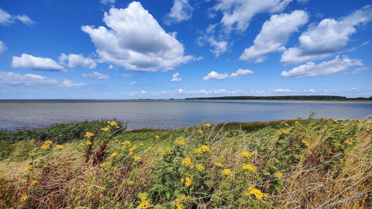 Photo of Others in Sakskobing