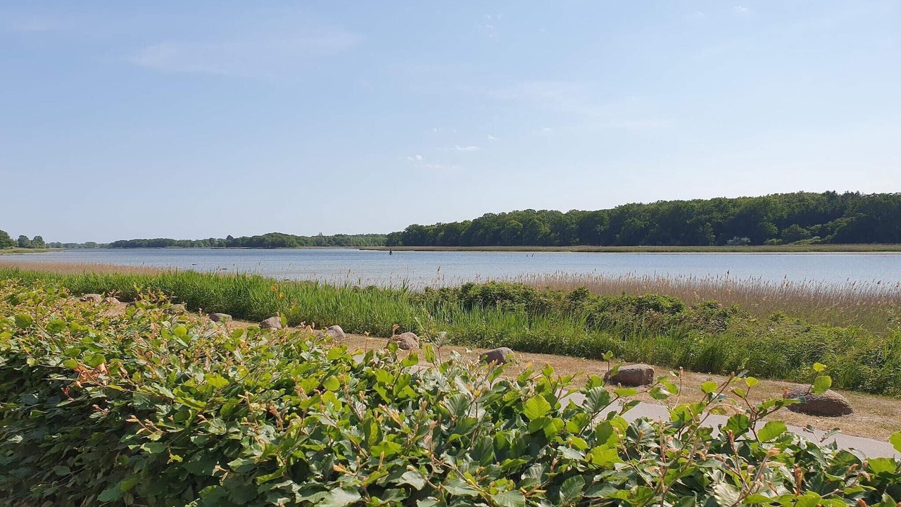 Photo of Others in Sakskobing