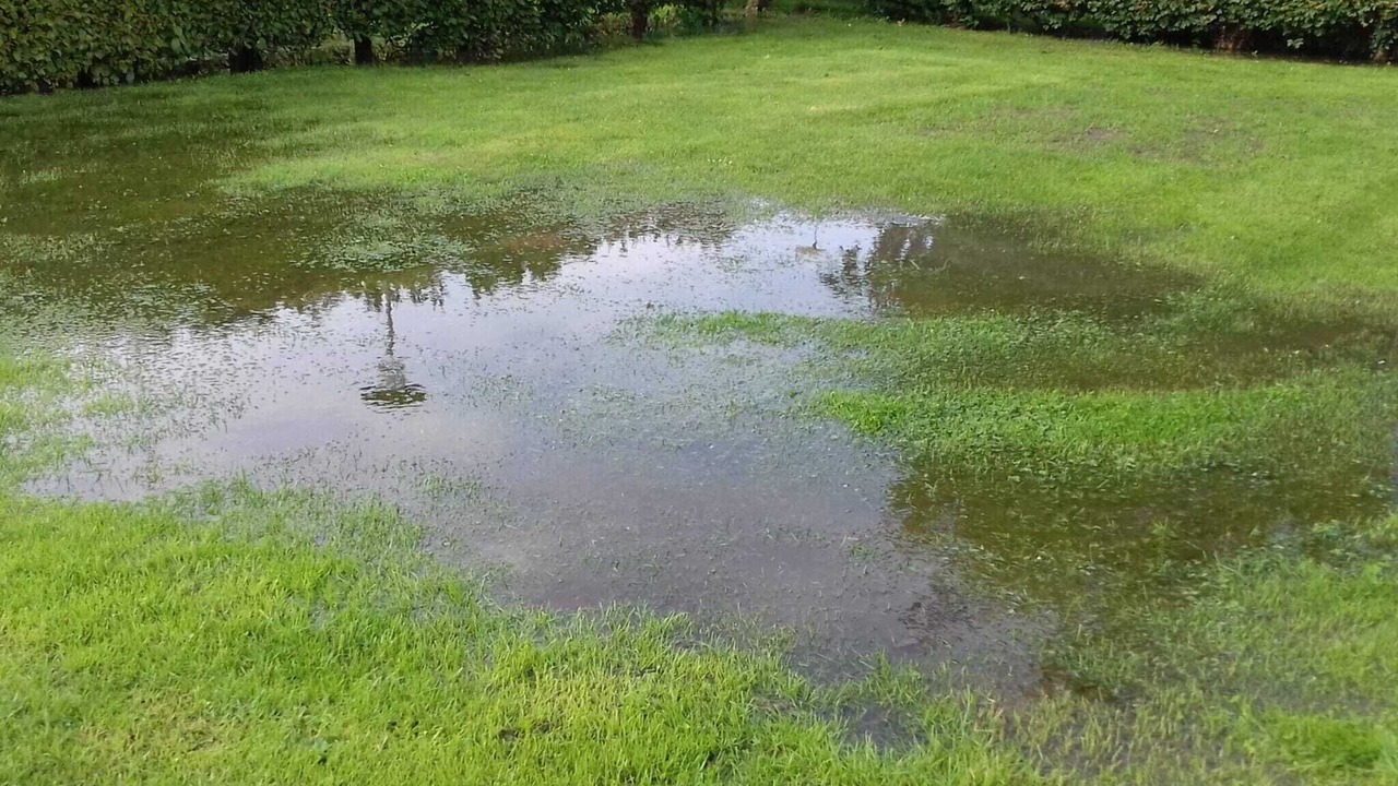 Photo of Others in Sakskobing