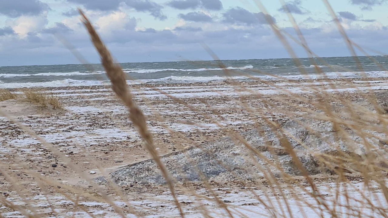 Photo of Others in Strandby