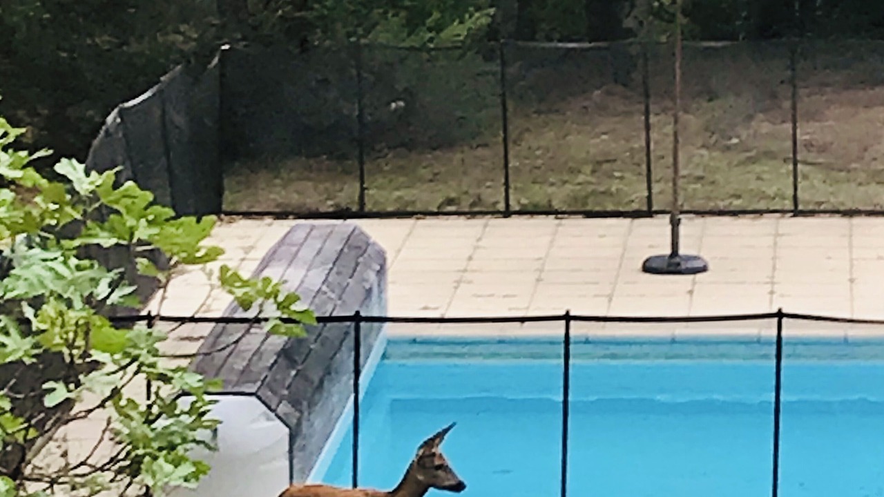 Photo of Outdoor in Penne