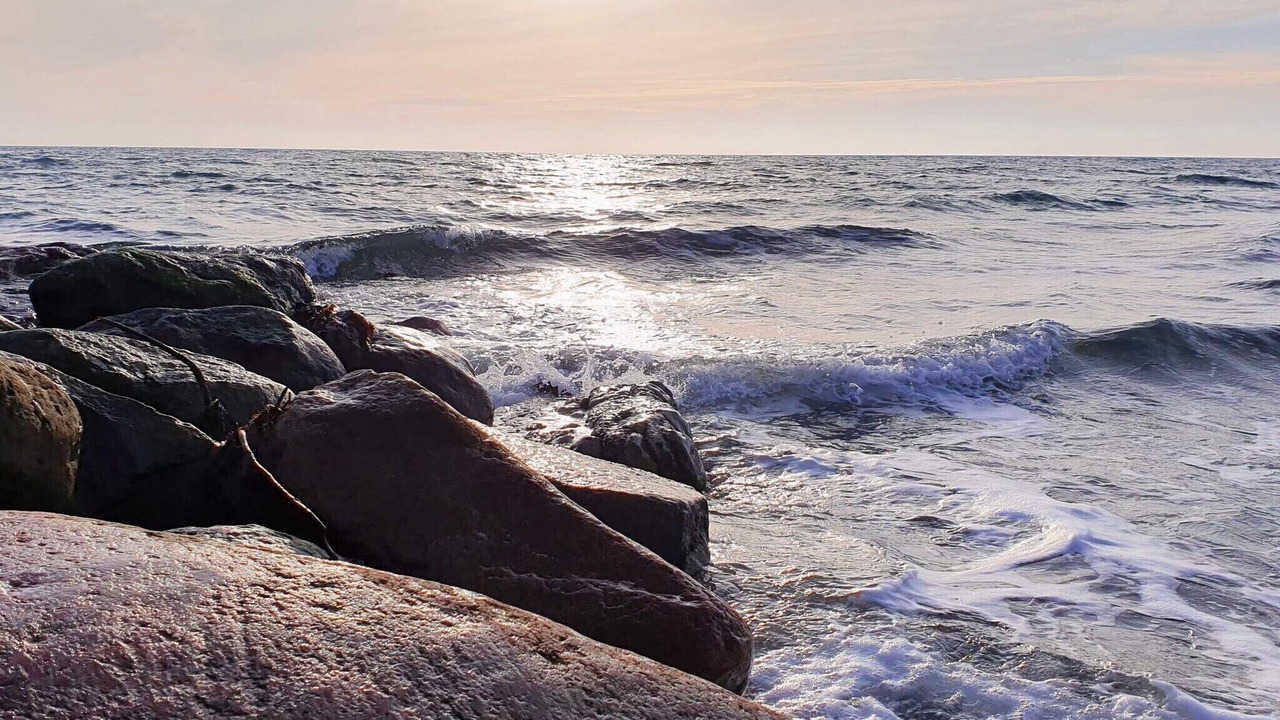 Photo of Others in Øer Strand