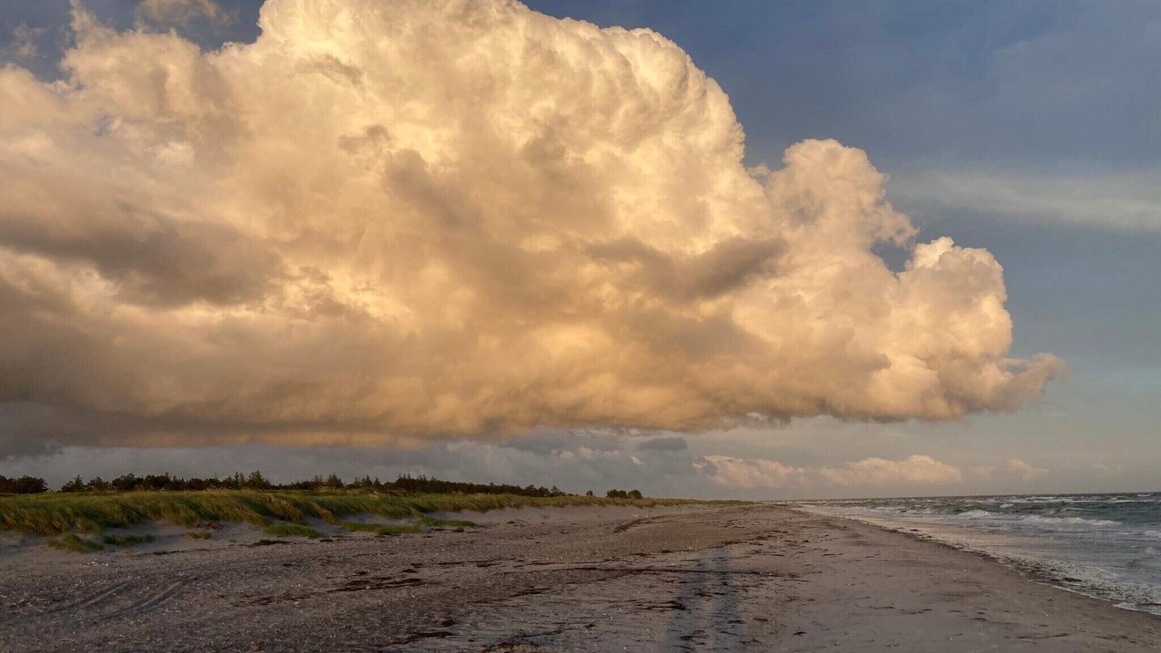 Photo of Others in Øer Strand