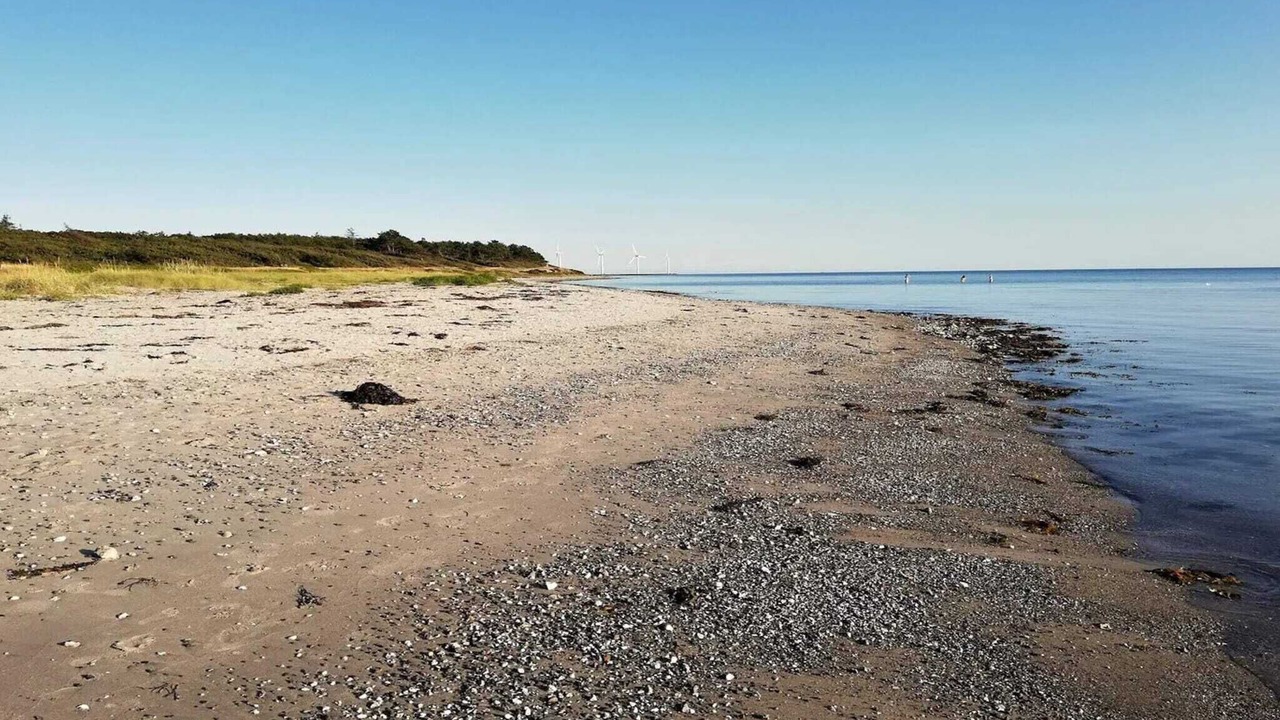 Photo of Others in Øer Strand