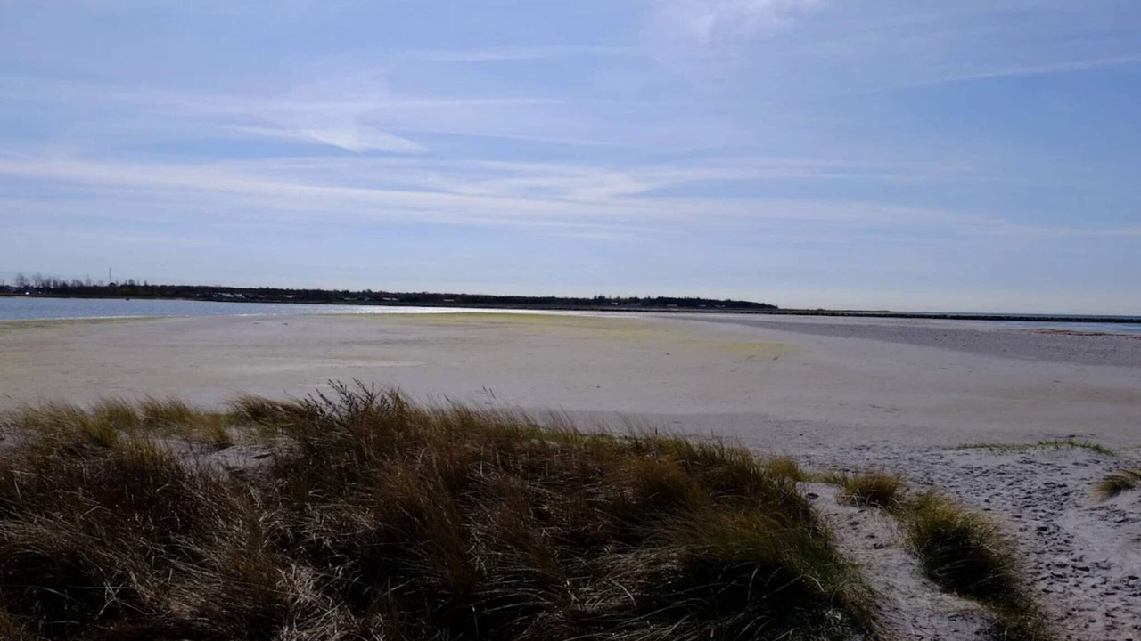 Photo of Others in Øer Strand