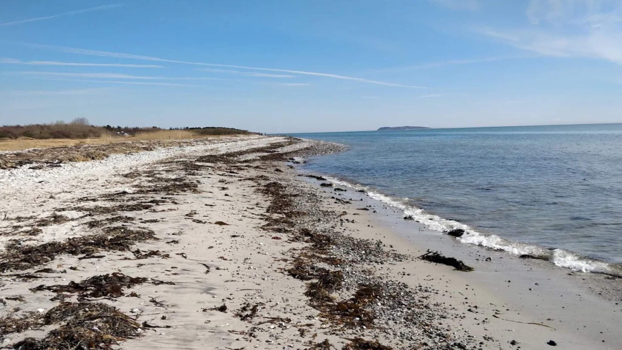 Photo of Others in Øer Strand
