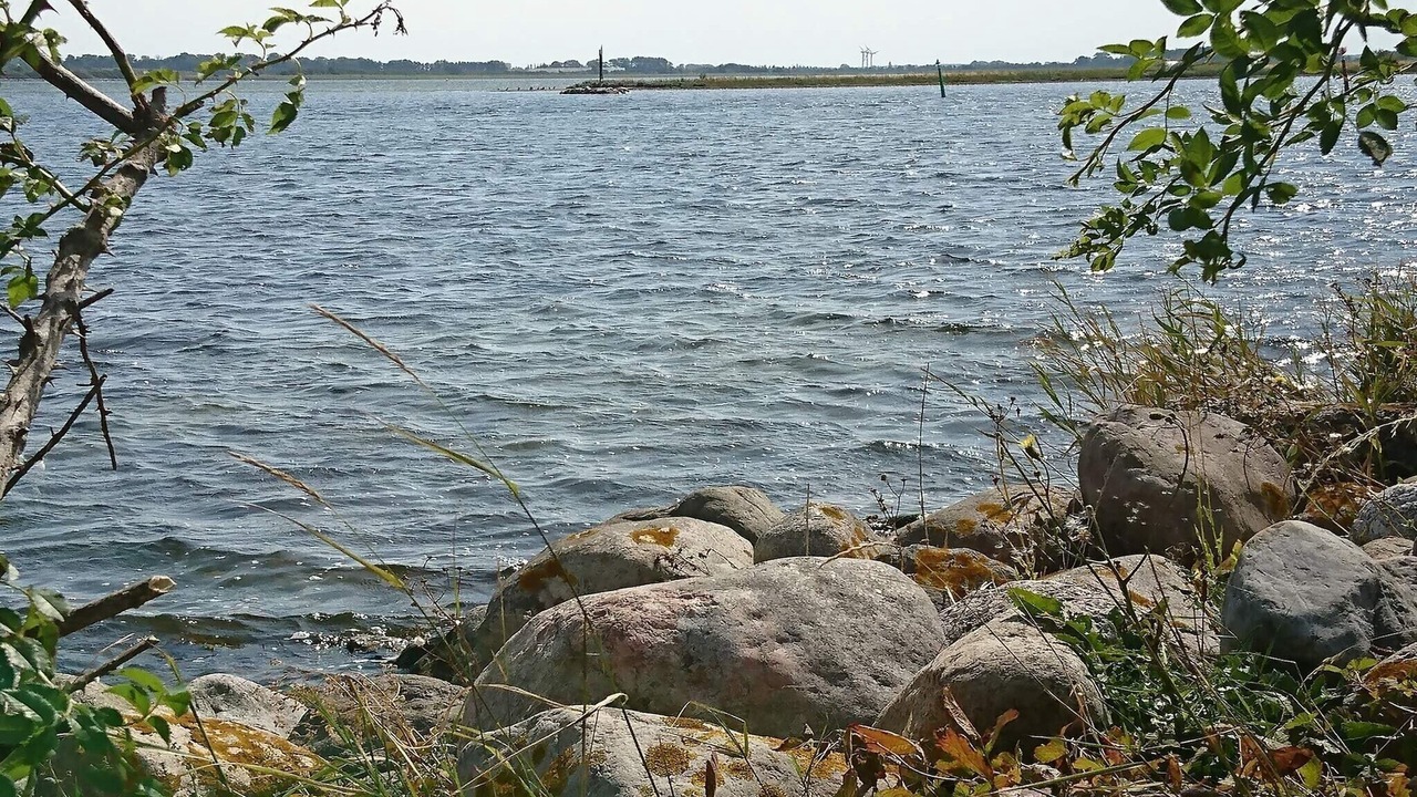 Photo of Others in Nakskov