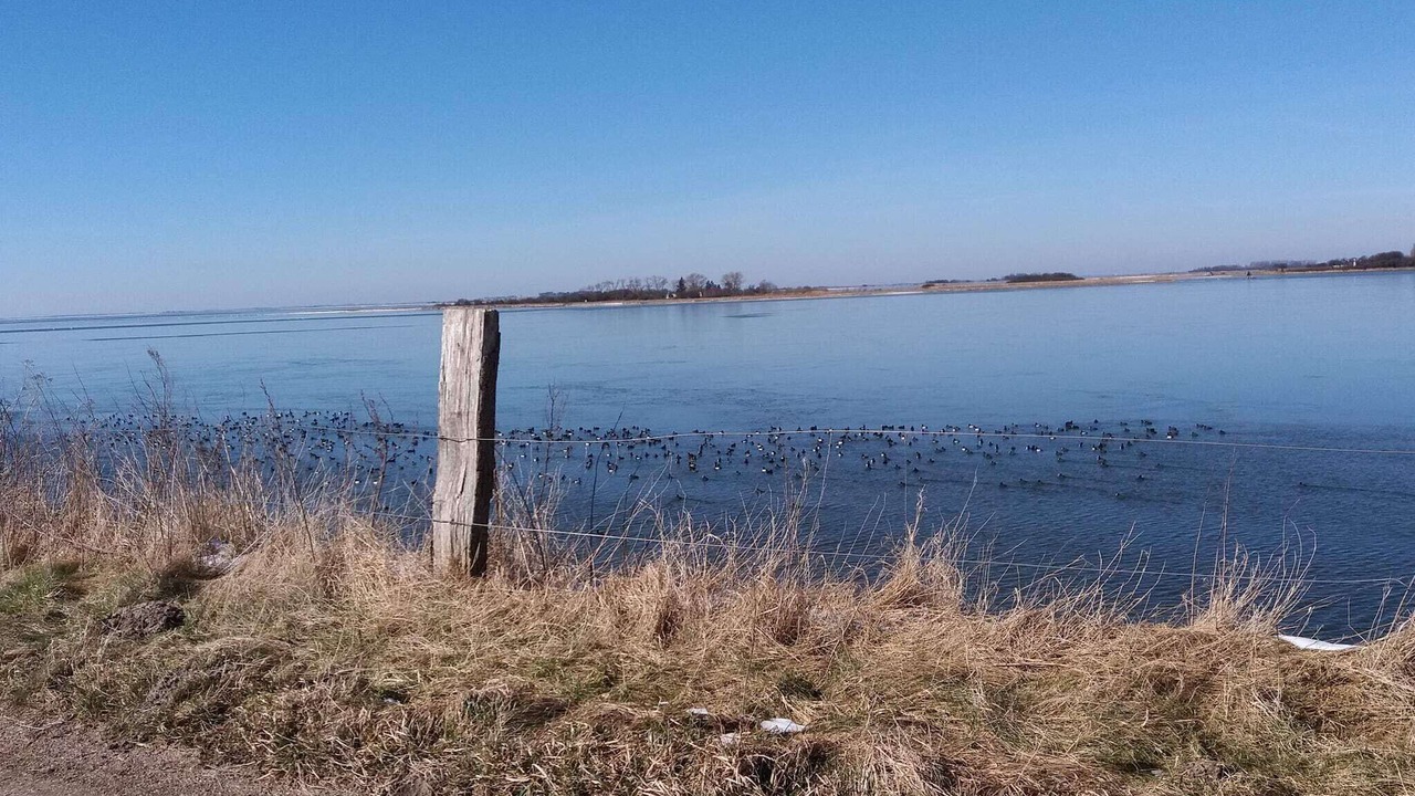 Photo of Others in Nakskov